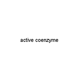 active coenzyme